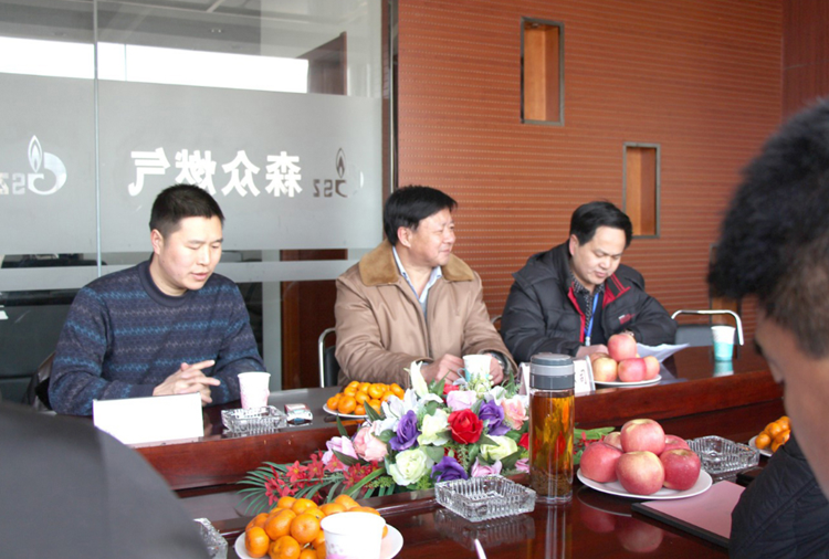 林口县政府与网站名称燃气项目洽谈.png